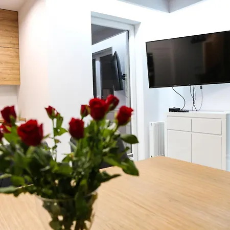 Apartament Krolowej Jadwigi Z Garazem Radom Exterior photo